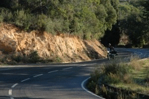 anim_394f1bbb-fb36-4494-e134-3b9492c7ae56.gif