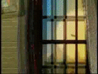 pimp your myspace at Gickr.com