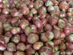 bawang merah