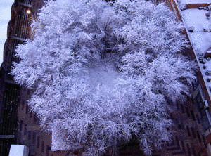 pimp myspace with Gickr