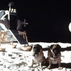 anim_44d80fad-70f8-0d14-fd98-eab99e991215.gif
