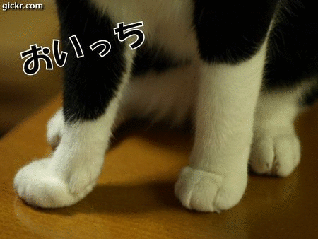 あんよの運動~~開始!(*´∇`*)