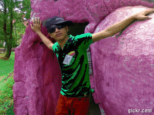 pimp myspace with Gickr
