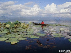 wonders of Lake Maiit