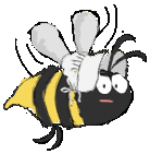 Bee in the bonnet