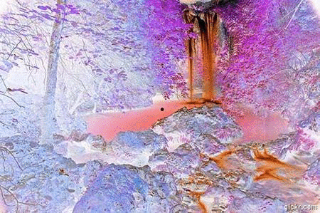 anim_ad001313-a0c9-99a4-4d21-eb19ad78030f.gif