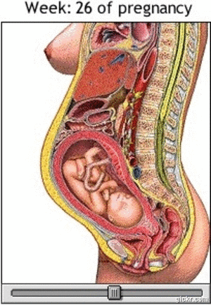 ældre kvinder menstruation gravid ældre kvinder menstruation gravid