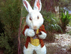 anim_d9446cd7-7fa9-76e4-41de-9f8f3ac1d9f7.gif