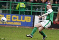 Hibeebounce